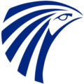 Египетские авиалинии EgyptAir